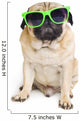 Pug with Sunglasses. Wall Decal