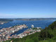 From Mountain Overlooking Bergen Wall Decal