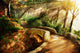 Mystical Park. Old Trees and Ancient Stone Bridge. Pathway 