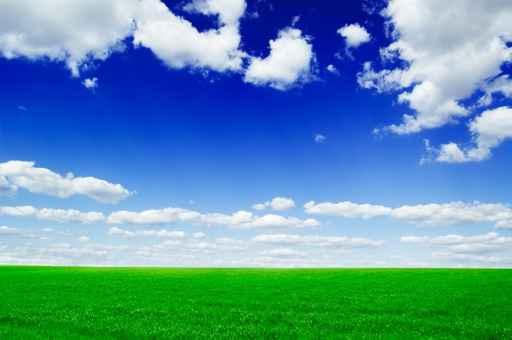 Field and Clouds Wall Decal Design 2