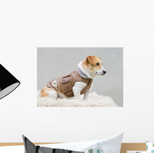 Dog Brown Leather Jacket Wall Decal