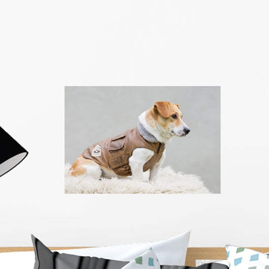 Dog Brown Leather Jacket Wall Decal