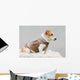 Dog Brown Leather Jacket Wall Decal