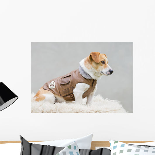 Dog Brown Leather Jacket Wall Decal