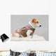 Dog Brown Leather Jacket Wall Decal