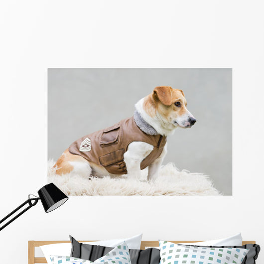 Dog Brown Leather Jacket Wall Decal