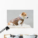 Dog Brown Leather Jacket Wall Decal