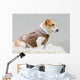 Dog Brown Leather Jacket Wall Decal