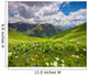 Fields of flowers in the mountains. Georgia, Svaneti. 