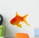Red fish on white c 