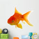 Red fish on white c 