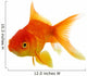 Red fish on white c 