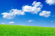 Green Field Wall Decal Design 2