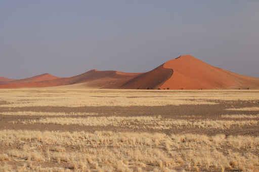 Namib Dunes Wall Decal