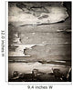 old wood board 