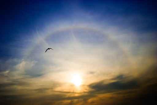 Circular Rainbow around Setting Wall Decal