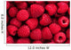 raspberry background 