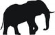 éléphant Wall Decal