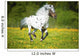Appaloosa horse runs gallop on the meadow in summer time 