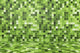 The wall of mosaic 