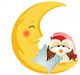 Good night owl sitting on a moon Wall Decal