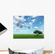 Alone Tree and Beautiful Wall Decal Design 2