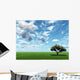Alone Tree and Beautiful Wall Decal Design 2