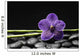 Single Purple Orchid with Bamboo Grove on Stones Wall Mural