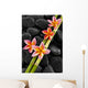 Set of Pink Frangipani with Bamboo Grove on Wet Black Stones 