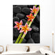 Set of Pink Frangipani with Bamboo Grove on Wet Black Stones 