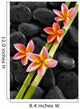 Set of Pink Frangipani with Bamboo Grove on Wet Black Stones 