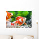 Orange and White Fish Wall Decal Design 1