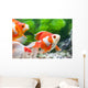 Orange and White Fish Wall Decal Design 1