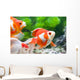 Orange and White Fish Wall Decal Design 1