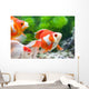 Orange and White Fish Wall Decal Design 1