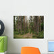 Pine Forest Ground Road Wall Decal