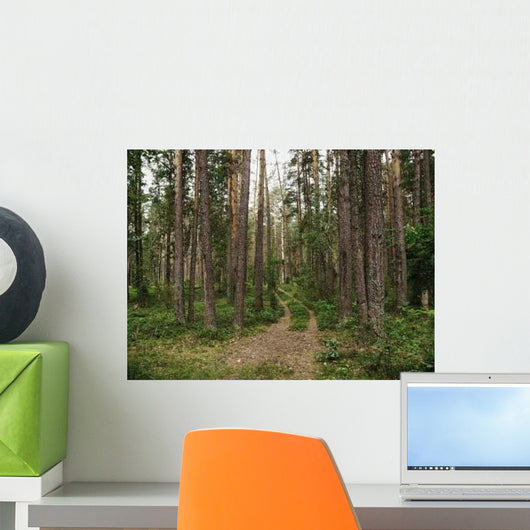 Pine Forest Ground Road Wall Decal