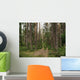 Pine Forest Ground Road Wall Decal