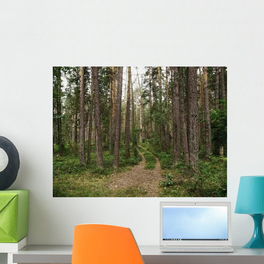 Pine Forest Ground Road Wall Decal