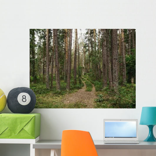 Pine Forest Ground Road Wall Decal