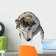 shy wolf Wall Decal