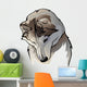 shy wolf Wall Decal