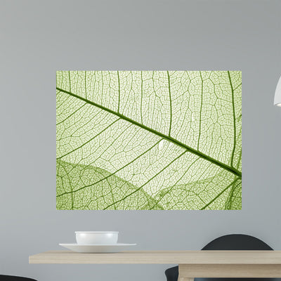 Green Leaf Texture Wall Decal shown on a wall