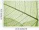 Green Leaf Texture Wall Decal