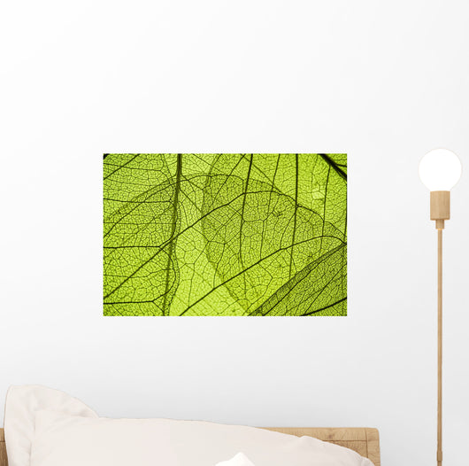 Green Leaf Texture Detail Wall Decal