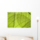 Green Leaf Texture Detail Wall Decal