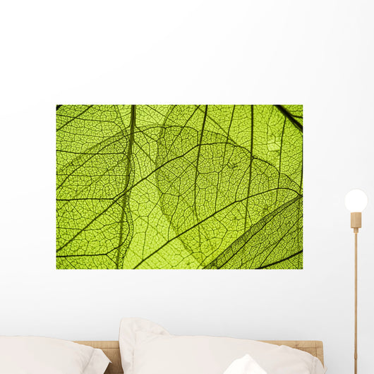 Green Leaf Texture Detail Wall Decal