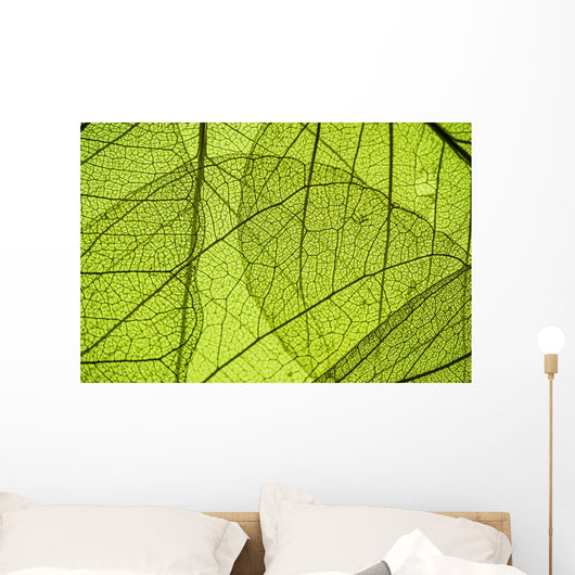 Green Leaf Texture Detail Wall Decal