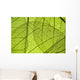 Green Leaf Texture Detail Wall Decal