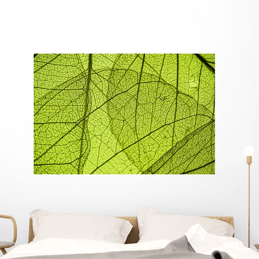 Green Leaf Texture Detail Wall Decal